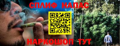 шишки Краснознаменск