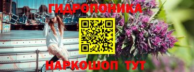 шишки Краснознаменск