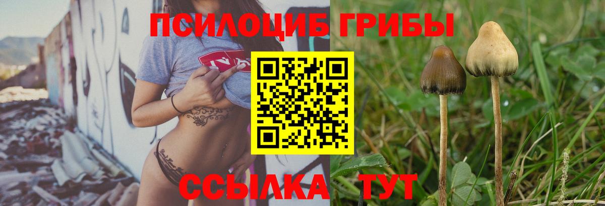 Псилоцибиновые грибы прущие грибы Клинцы