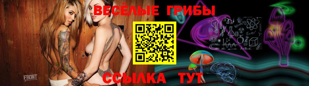 купить наркотики цена  Галлюциногенные грибы MAGIC MUSHROOMS  Вход с VPN  Клинцы 